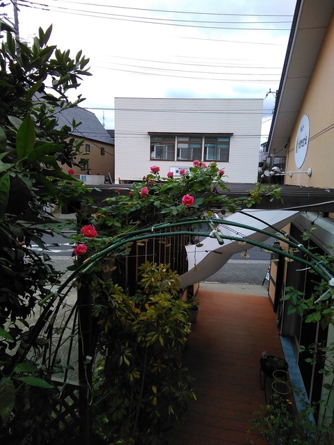 IMG_20220707_091042.jpg