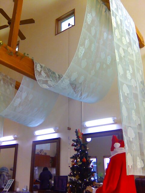 IMG_20231218_113041.jpg