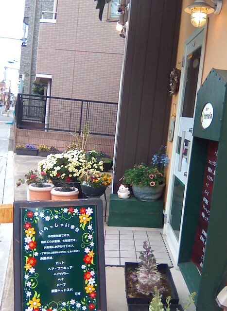 IMG_20250331_104007~2.jpg