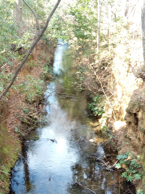 P_20200218_125418.jpg